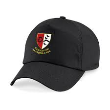 Image result for Llandeilo Rugby Football Club