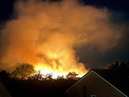 Image result for Swindon Flames