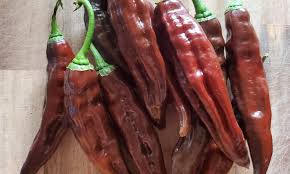 Afbeeldingsresultaat voor aji panca hot pepper