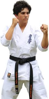 Image result for Kyokushin Karate