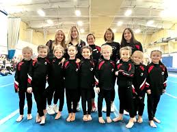 Image result for Weaverham Gymnastics Club