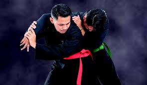 Image result for Goshin Ryu Atemi JuJitsu