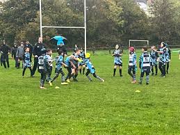 Image result for Caldicot Junior  & Mini Rugby Club