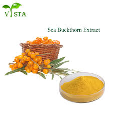 Attēlu rezultāti vaicājumam “Hippophae rhamnoides fruit”