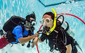 Image result for Surrey Aquanauts B S A C 0689