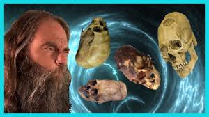 Image result for elongated skulls