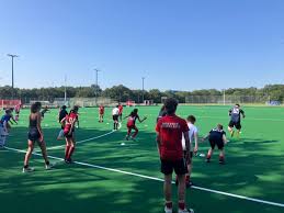 Image result for Harleston Magpies Hockey Club
