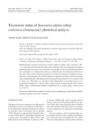 Attēlu rezultāti vaicājumam “Saussurea esthonica flower”