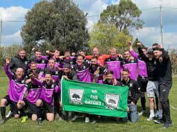 Image result for Newdigate F C