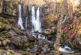 Image result for cascate del dardagna