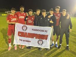 Image result for Hassocks Ladies FC