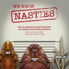 「海老沢和生 妄想代理人」の画像検索結果