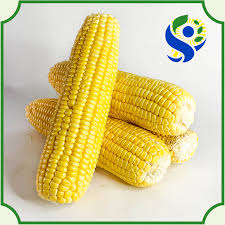 Image result for Mais