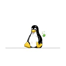 Image result for linux penguin