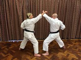 Image result for Jodan Karate