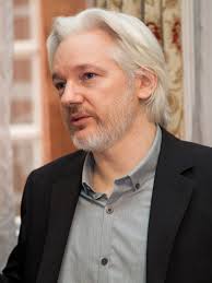 Image result for julian assange