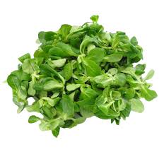 Image result for Feldsalat