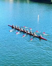 Image result for Kingfisher Twirling Team