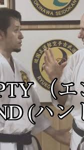 Image result for Ryuko Dojo