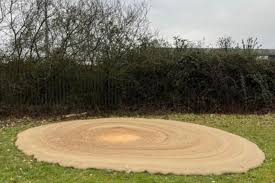 Image result for Ruislip Rfc