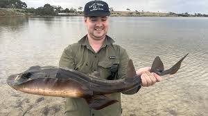 Image result for Warlingham & District Anglers` Society