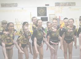 Image result for Bevendean Gymnastic Club