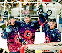 Image result for Leeds Sharks