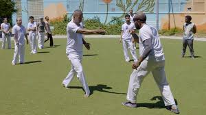 Image result for Capoeira Massive