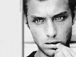 Jude Law Image Jude Law wallpapers Picture 6