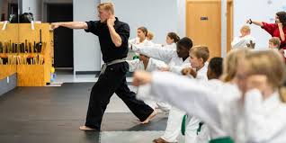 Image result for COURT FIELDS karate Academy