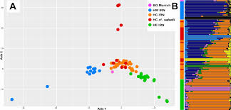 Image result for pfanzelt tehron