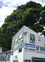 Image result for Horsforth Cc