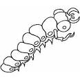 Centipede coloring page