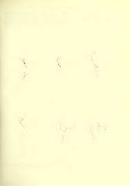 Attēlu rezultāti vaicājumam “Trichia longipalpis”