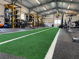 Image result for Carryduff Gaelic Athletic Club