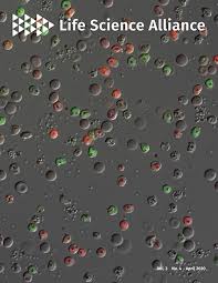 Attēlu rezultāti vaicājumam “Colloderma oculatum plasmodium”