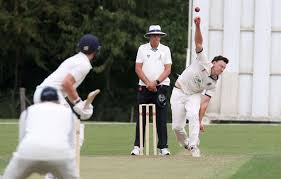Image result for Halstead Colts Cricket Club
