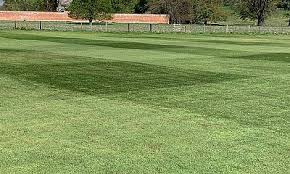 Image result for Alcester & Ragley CC