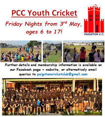 Image result for Paignton Cc