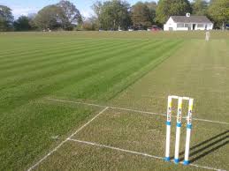 Image result for Forest Green Cricket Club