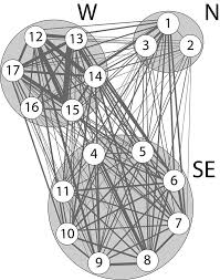Attēlu rezultāti vaicājumam “Usnea subfloridana”