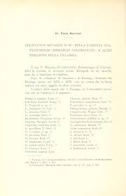 Attēlu rezultāti vaicājumam “Strongylosoma pallipes”