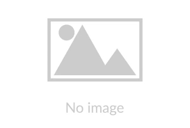 Attēlu rezultāti vaicājumam “Protoschinia scutosa”