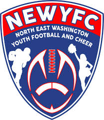 Image result for New Latchingdon Youth Football Club