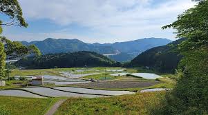 Image result for tanada