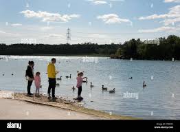 Image result for Rother Valley