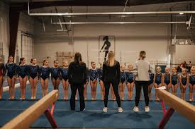 Image result for Lincoln Gymnastics Club