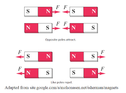 Image result for Pole Magnets