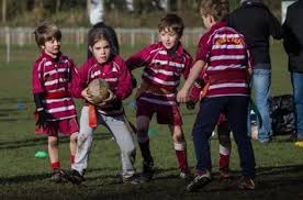 Image result for Helsby Rugby Union Football Club