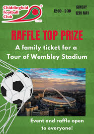 Image result for Chiddingfold Youth Fc